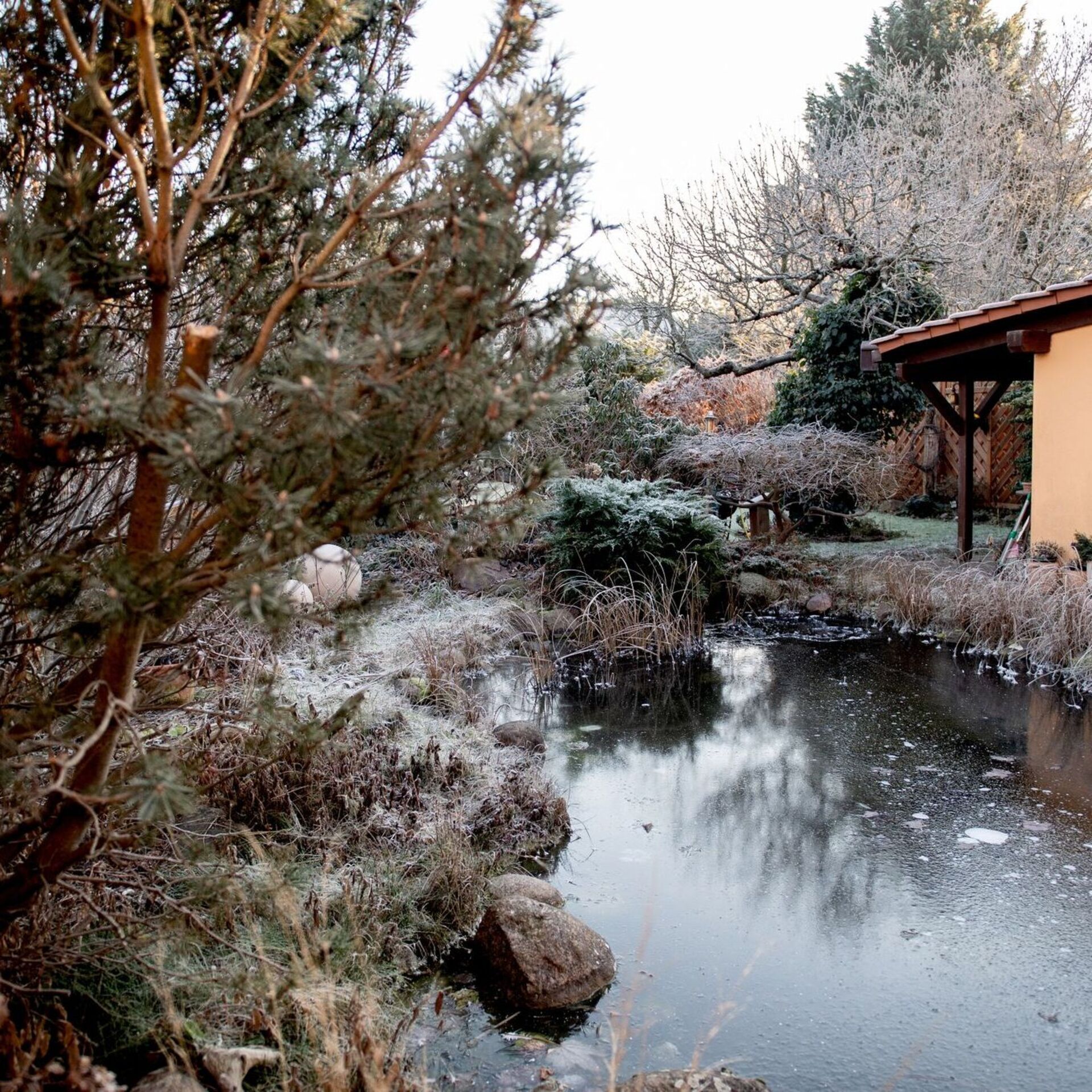 5 Tipps für mehr Artenvielfalt im Garten Aachener Zeitung